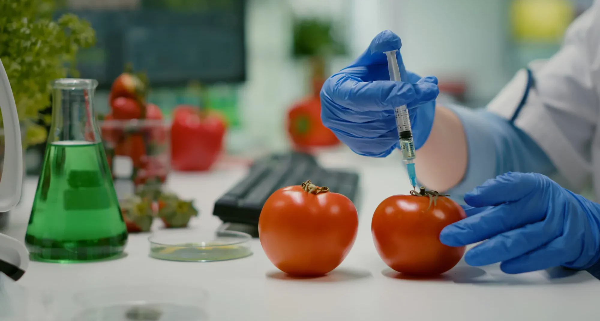 Food and Agro Testing